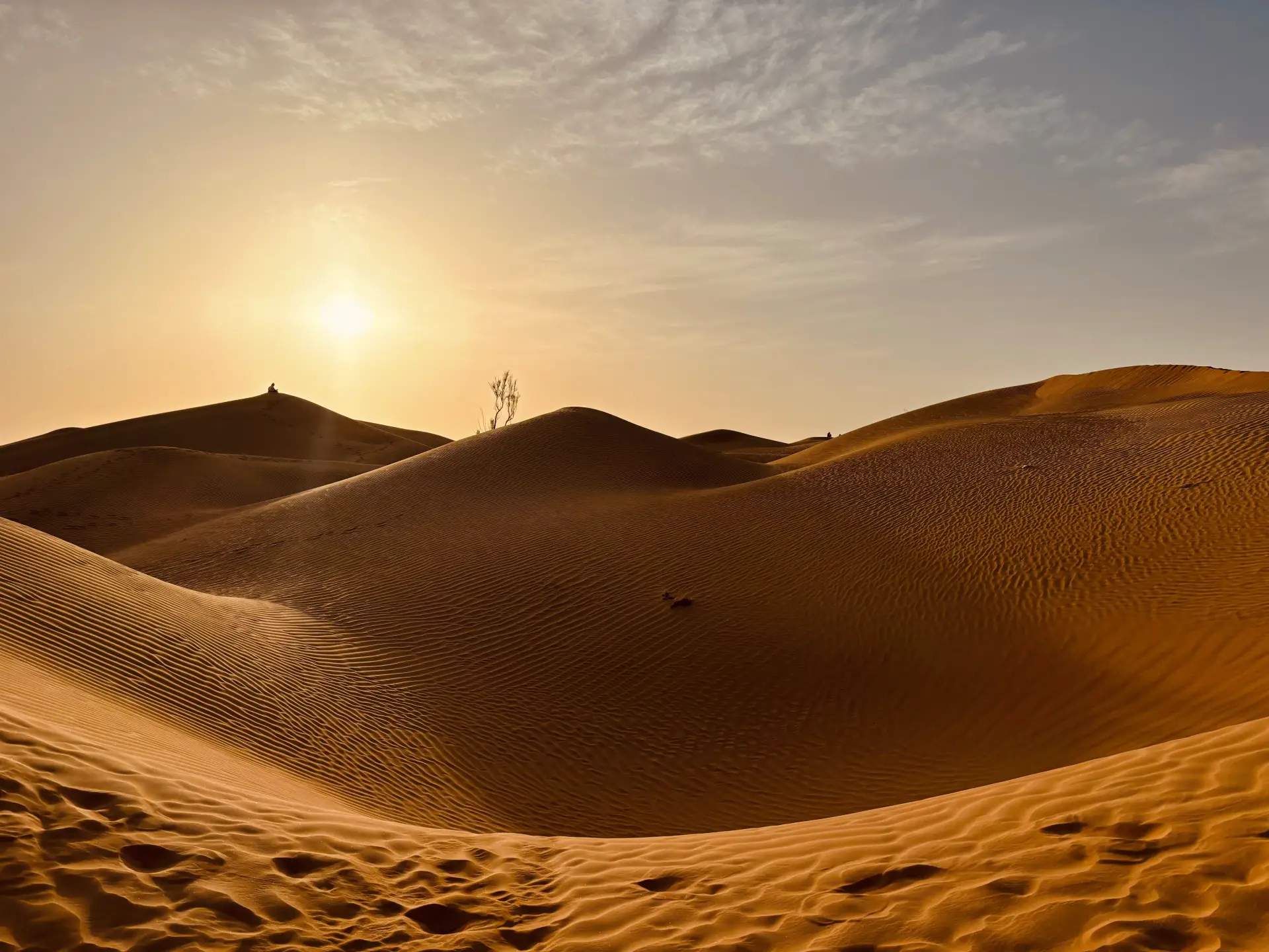 oman-8560420